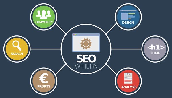 Connaître le rôle et les avantages d’un consultant SEO freelance